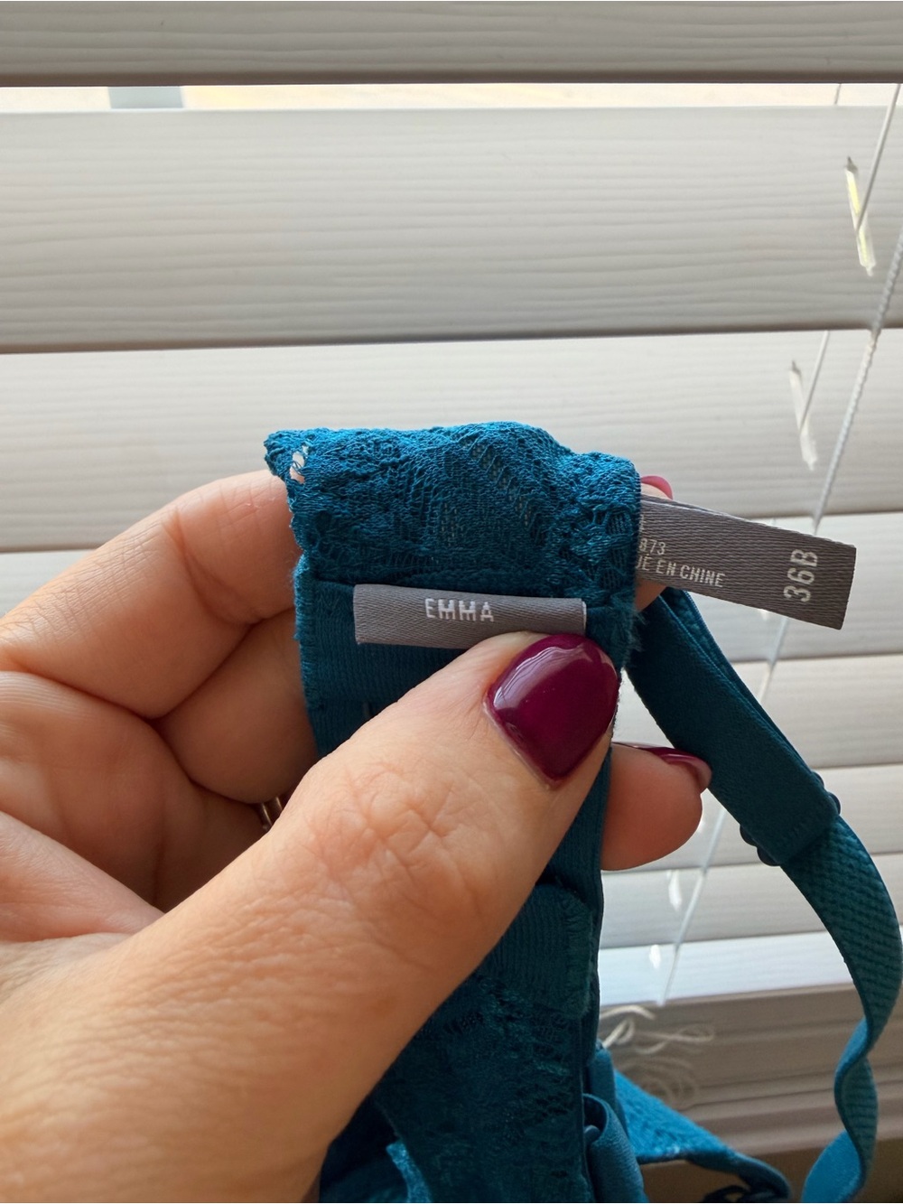 aerie Teal Lace Push-Up Bra - Picture 4 of 4
